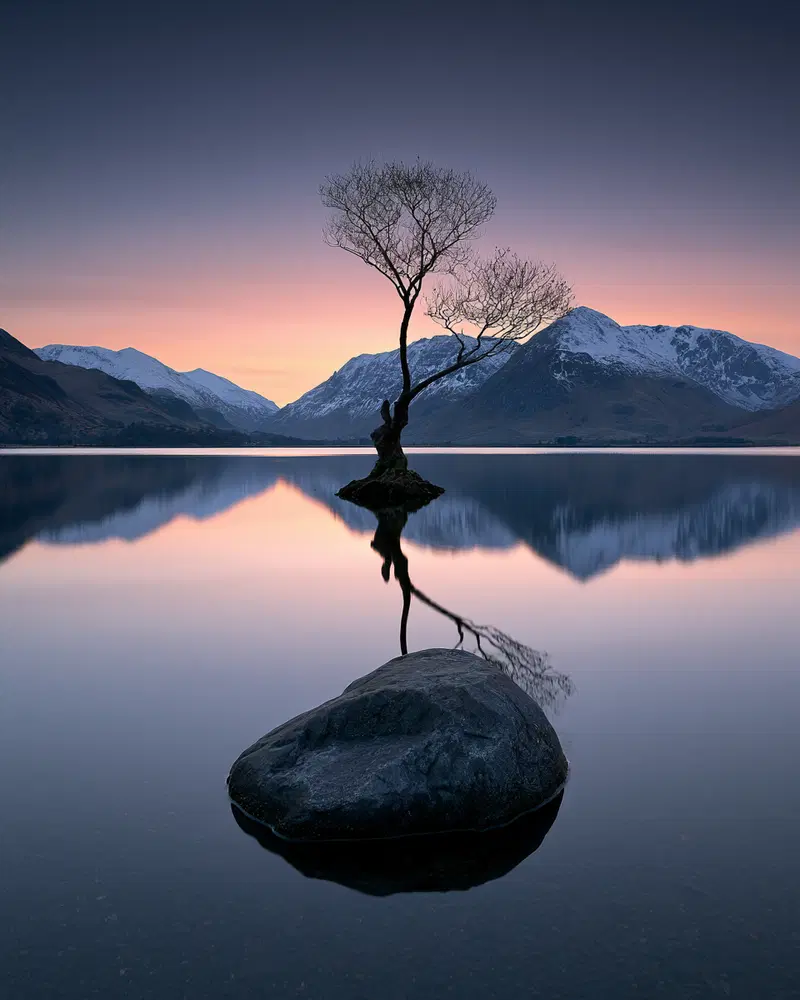 Serene lakeside scene at sunset with solitary tree and snow-capped mountains