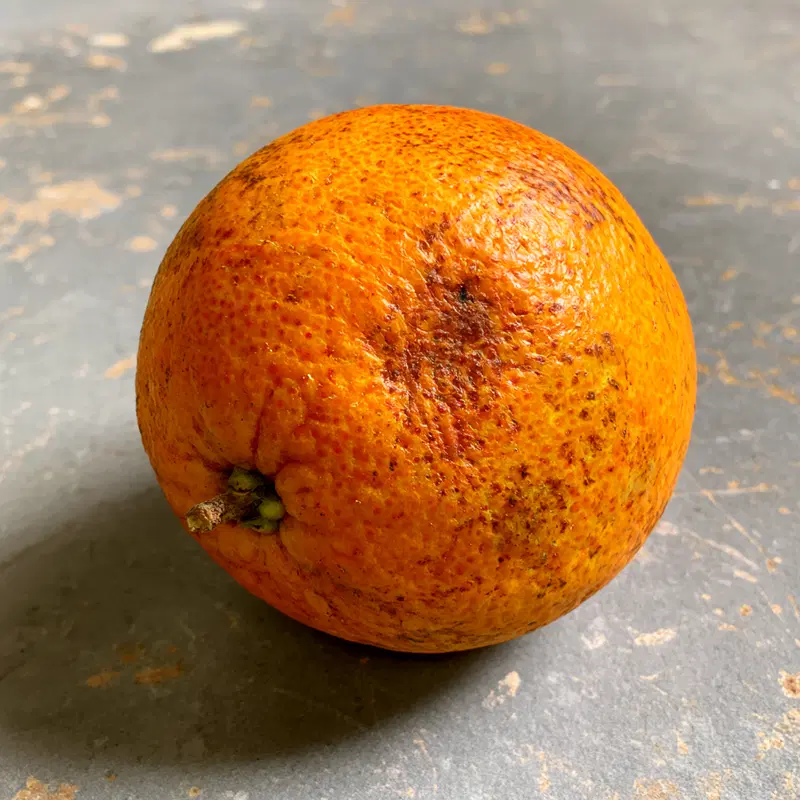 Close-up photography of a single orange with textured rind on surface