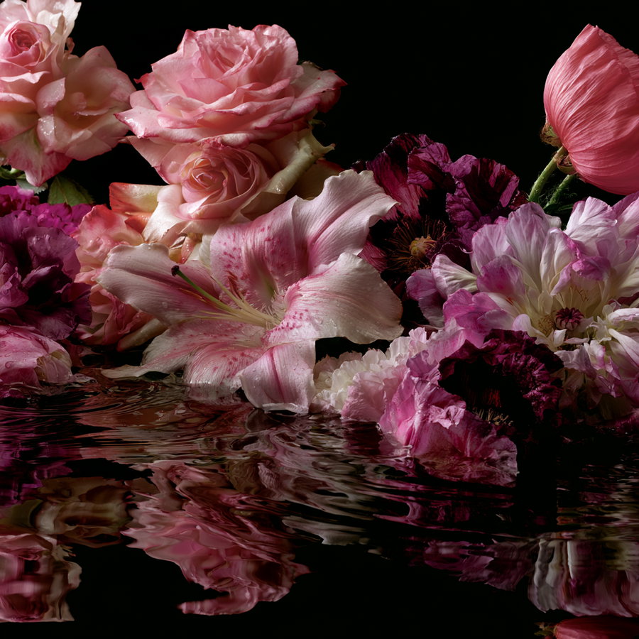 Various pink flowers including roses, lilies, and other blooms arranged above reflective water against a black background