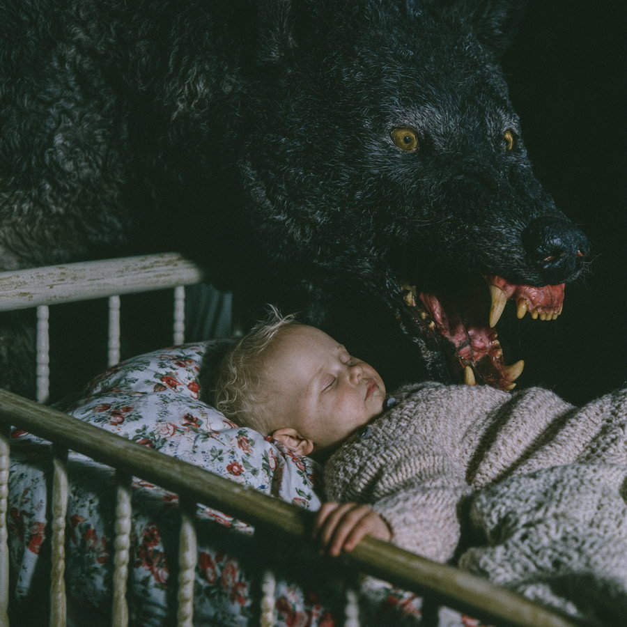 A child sleeping peacefully on a floral pillow in a wooden crib with a large black wolf snarling menacingly very close to the child's face in a dark setting