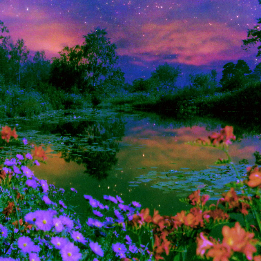 A calm lake surrounded by trees and colorful flowers in the foreground, under a purple and orange star-filled night sky with clouds reflected in the water