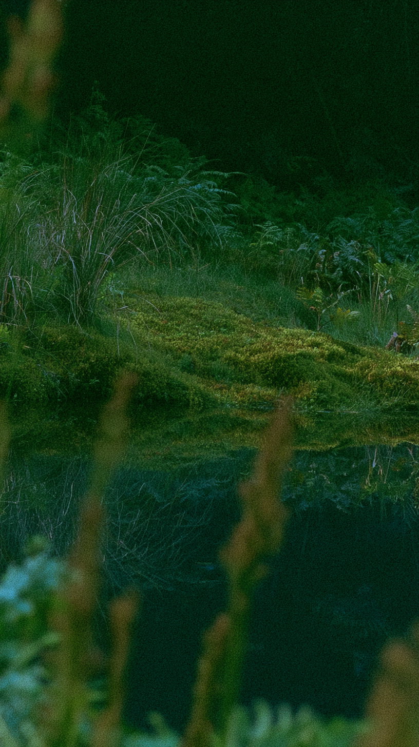 A close-up view of dense green vegetation and shrubs by the edge of a dark body of water, with the greenery reflected in the water's surface