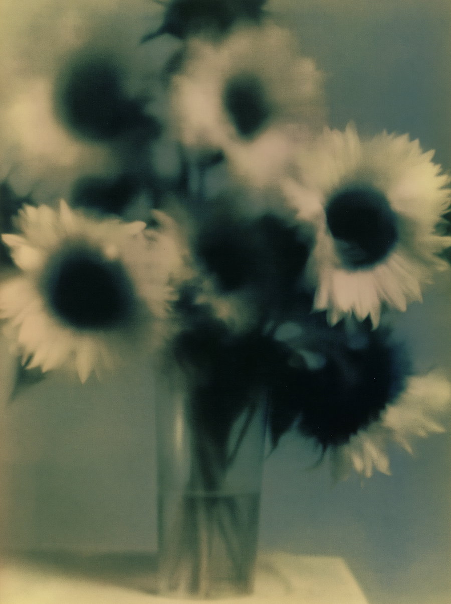 A photograph with an abstract and blurred depiction of sunflowers in a glass vase on a flat surface, set against a muted background