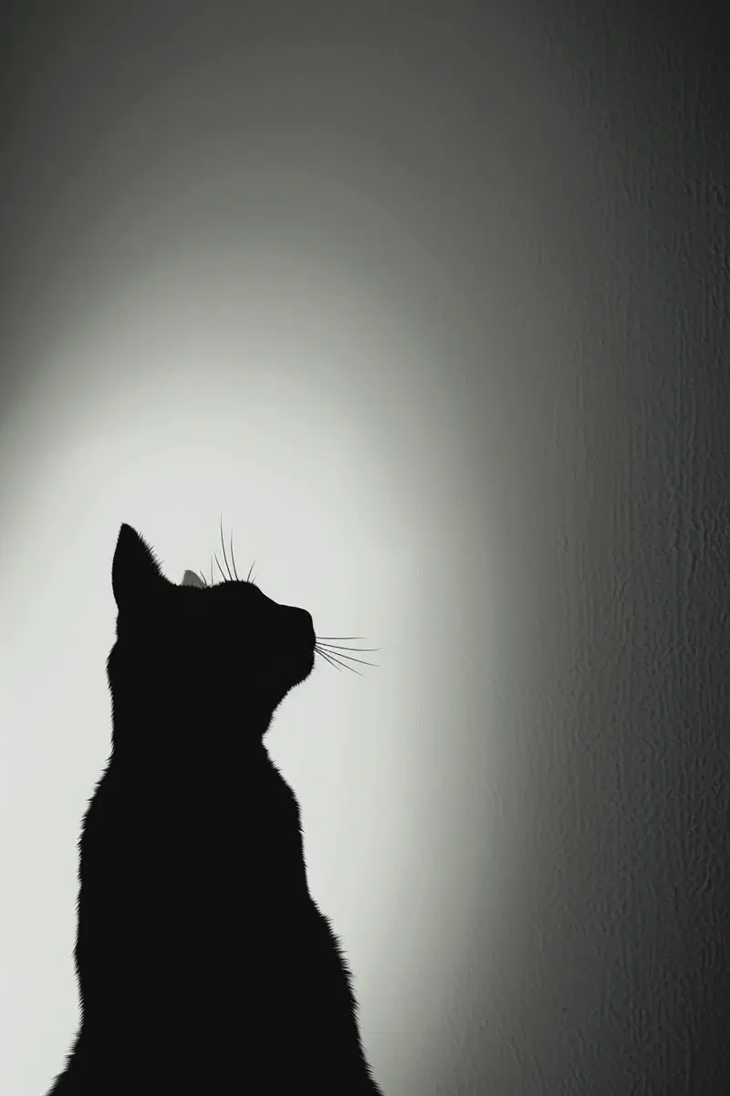 Minimalist Black Cat Silhouette Wall Art Decor Ideas