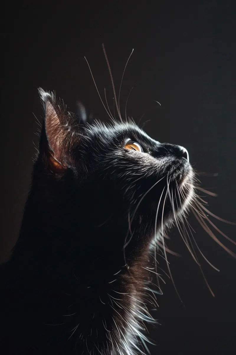 Minimalist Black Cat Wall Art for Modern Aesthetic Decor