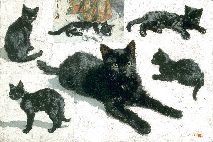 Full-body black cats in various poses on white background