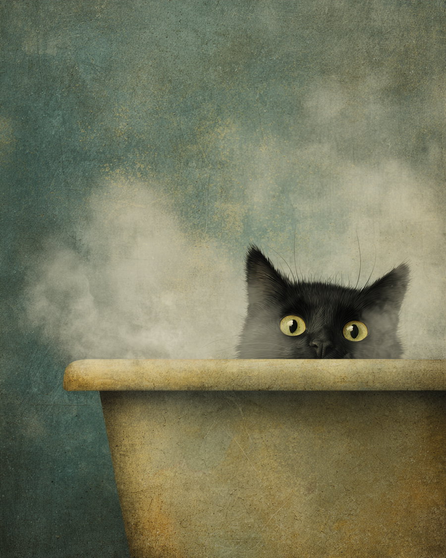 adorable black cat relaxing in bathtub with rising steam