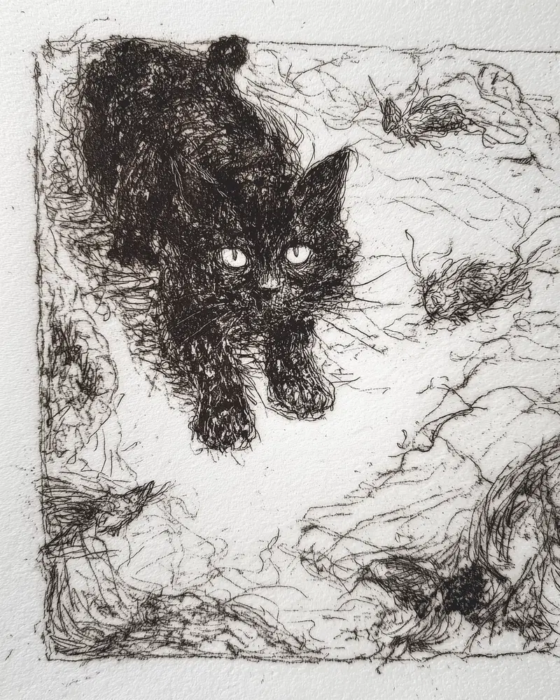 Charming Black Cat Aesthetic for Cozy Canal Path Decor Ideas