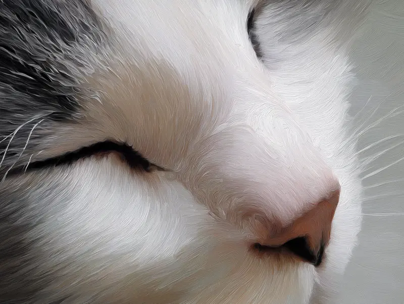 Charming Cat Oil Painting for Cozy Home Decor Inspiration