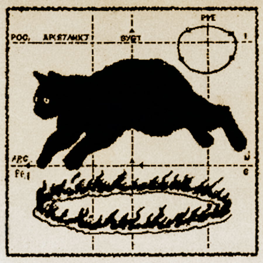 Young black cat leaping through a fiery ring
