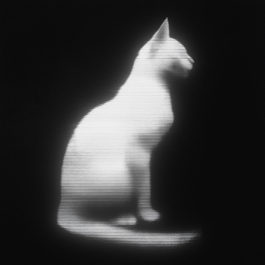 Blurry white cat silhouette on black background with vintage aesthetic