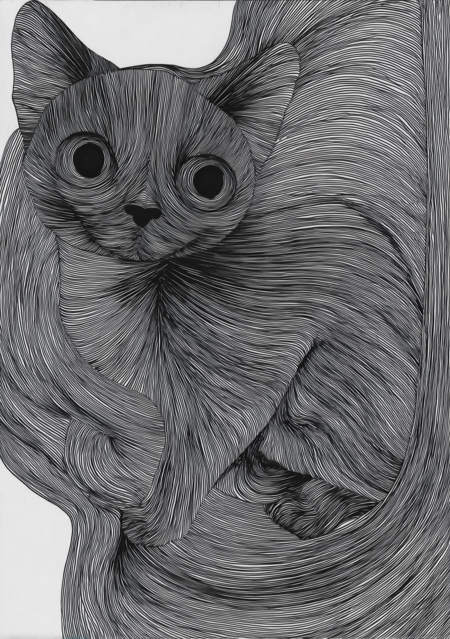 Highly detailed line drawing of an elegant cat on white background