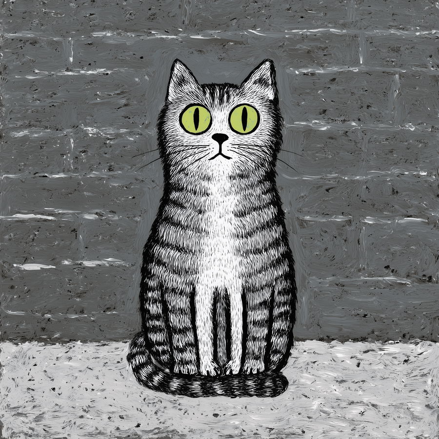 Evil grey tabby cat with white belly on album cover