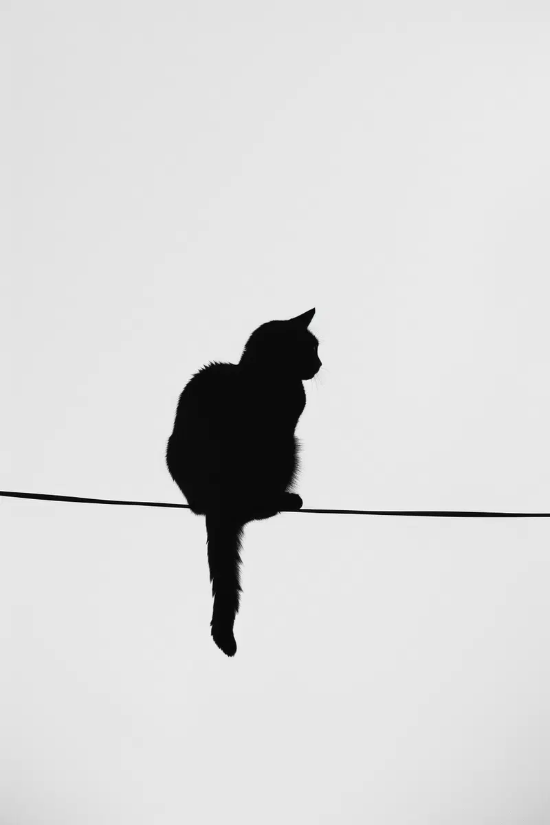 Elegant Minimalist Black Cat Wall Art Printable Decor
