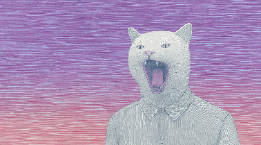 White cat in shirt against purple pink ombre background