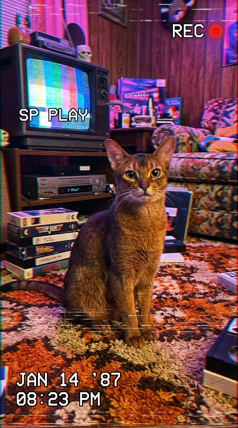 Abyssinian Cat Sitting in Retro Living Room Setting