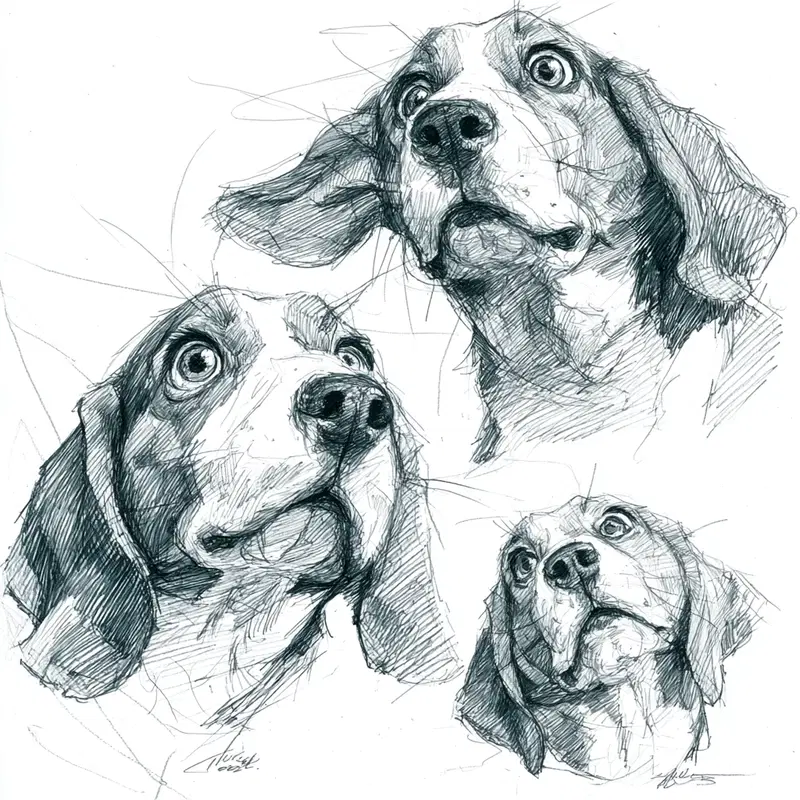 Minimalist Beagle Dog Pencil Drawing Wall Art Decor