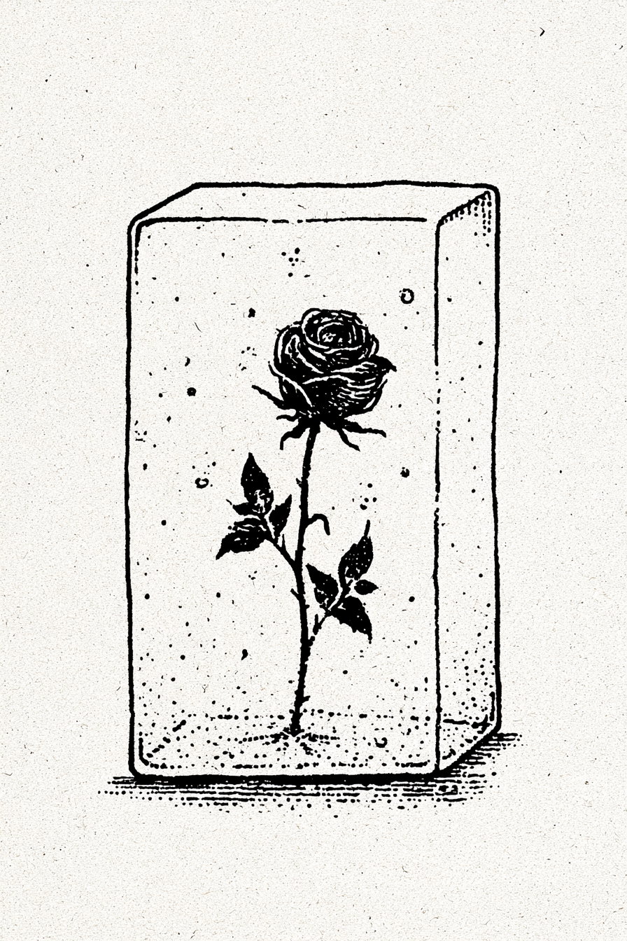 Black and white drawing of a single rose with leaves inside a rectangular glass block, depicted with intricate line art and stippling, on a light textured background