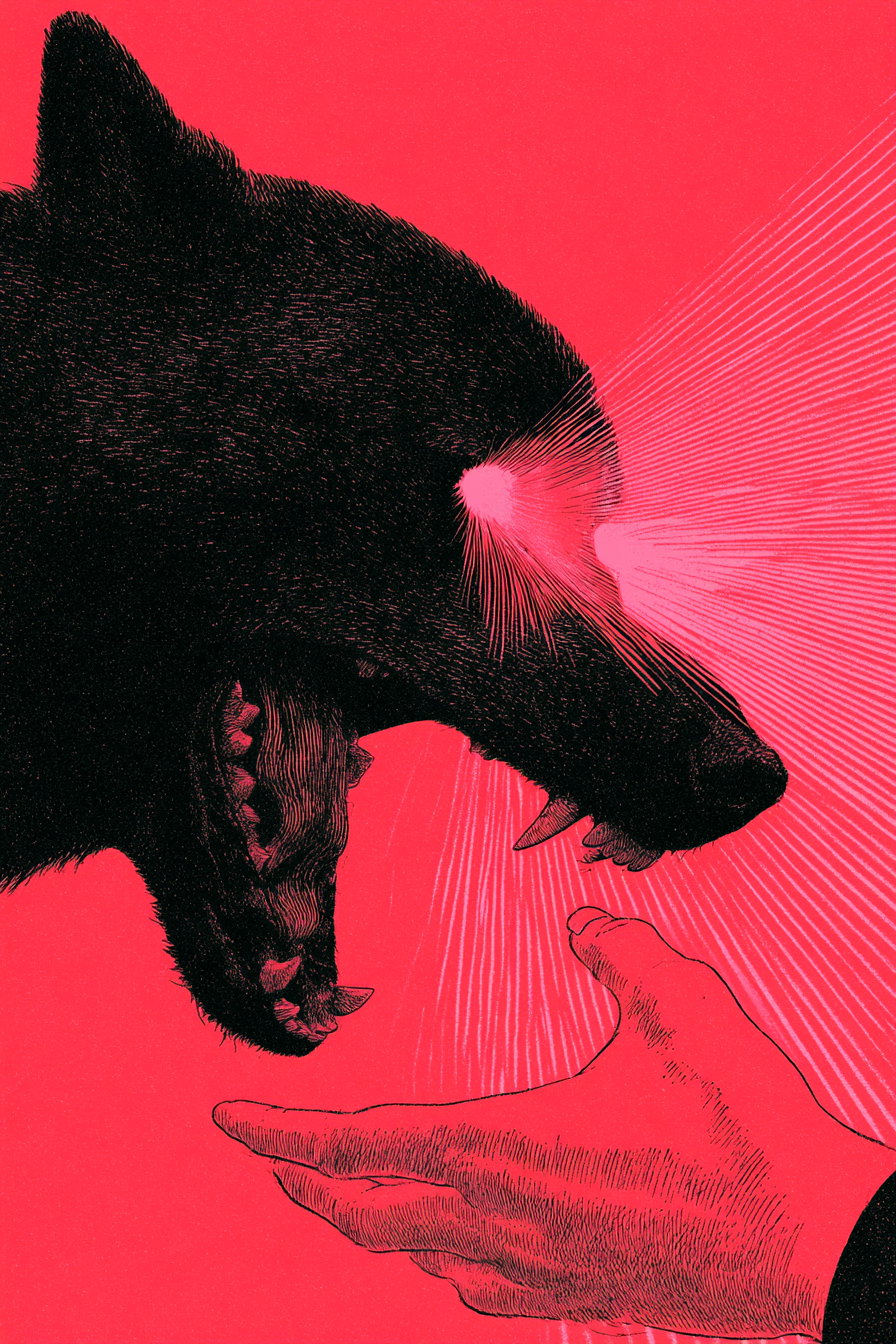 Illustration of a black wolf's head with glowing white eyes emitting beams of light, facing an outstretched human hand against a bright red background