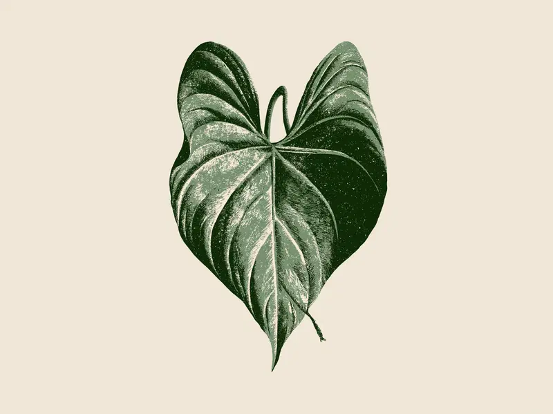 Detailed vintage illustration of a single green botanical leaf on beige