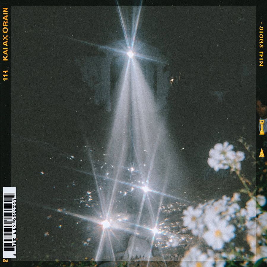 A dark scene with a person standing in the center, illuminated by bright starburst light effects that create multiple beams. White flowers are visible in the foreground on the right side.