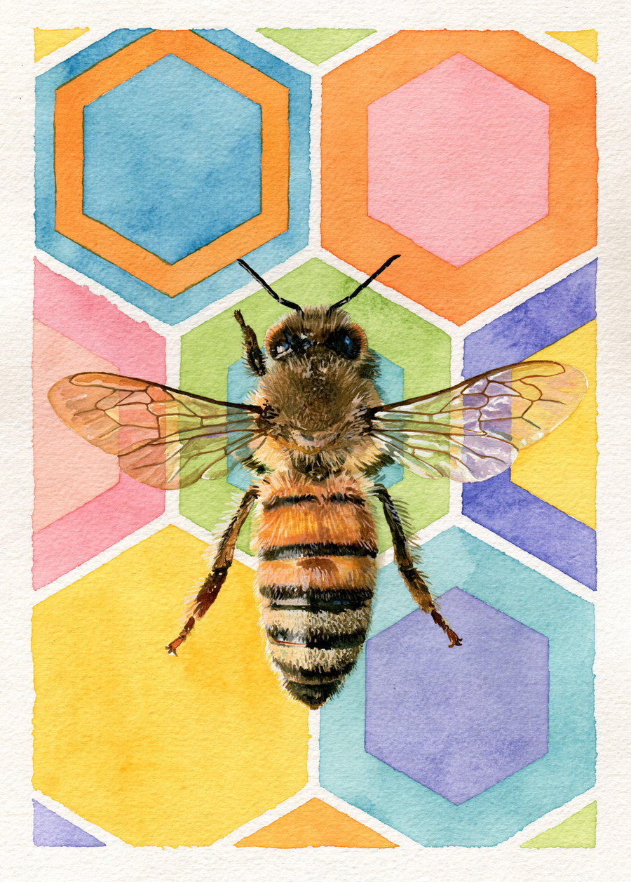 Watercolor illustration of a bee with transparent wings against a background of colorful hexagons in blue, orange, pink, green, yellow, and purple