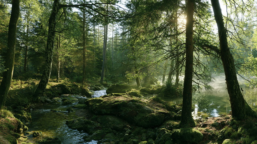 A serene forest landscape featuring a clear flowing stream surrounded by moss-covered rocks and dense green trees with sunlight filtering through the foliage.