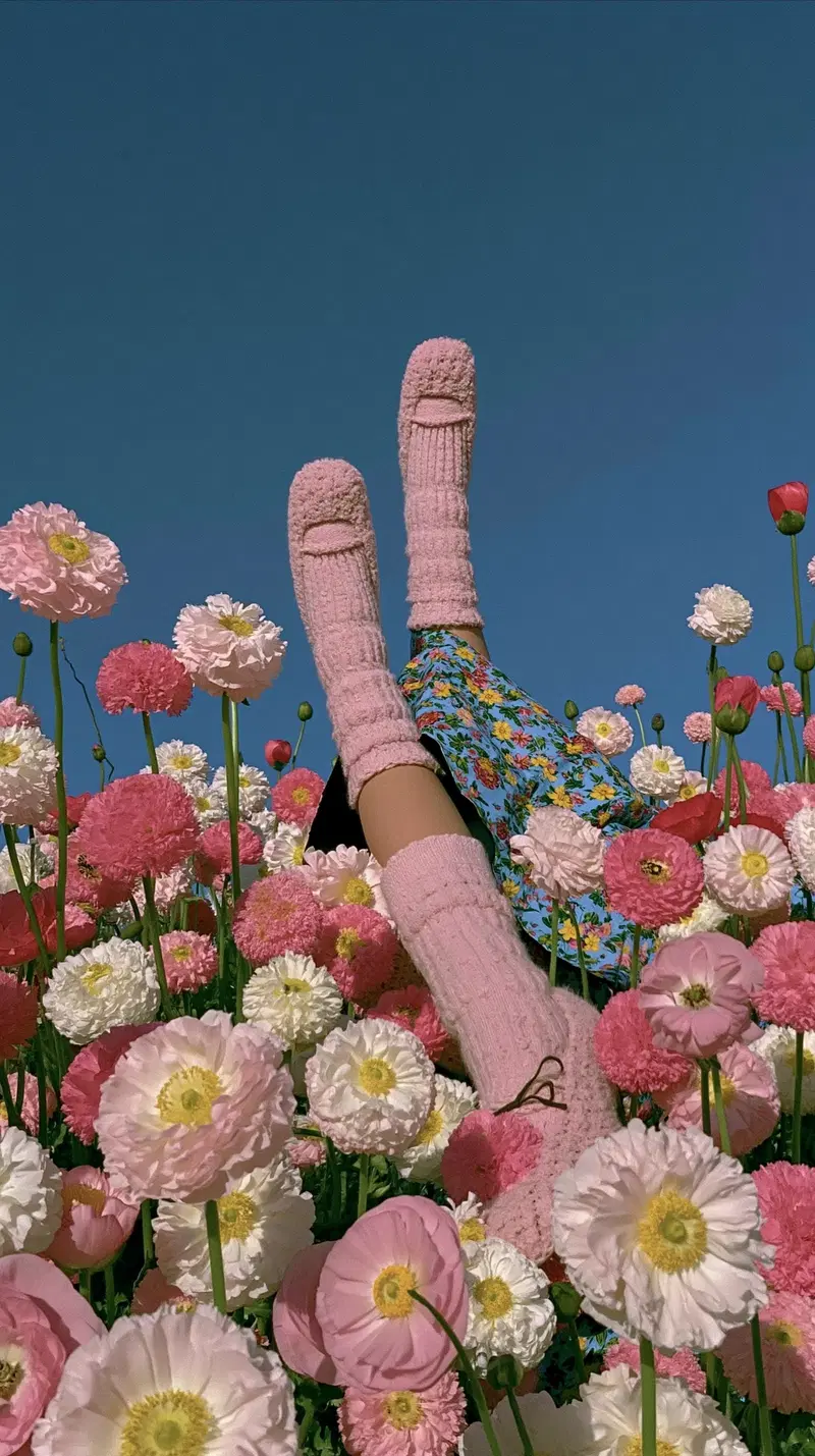 Legs in pink socks and floral skirt amidst a field of pink and white flowers under clear blue sky