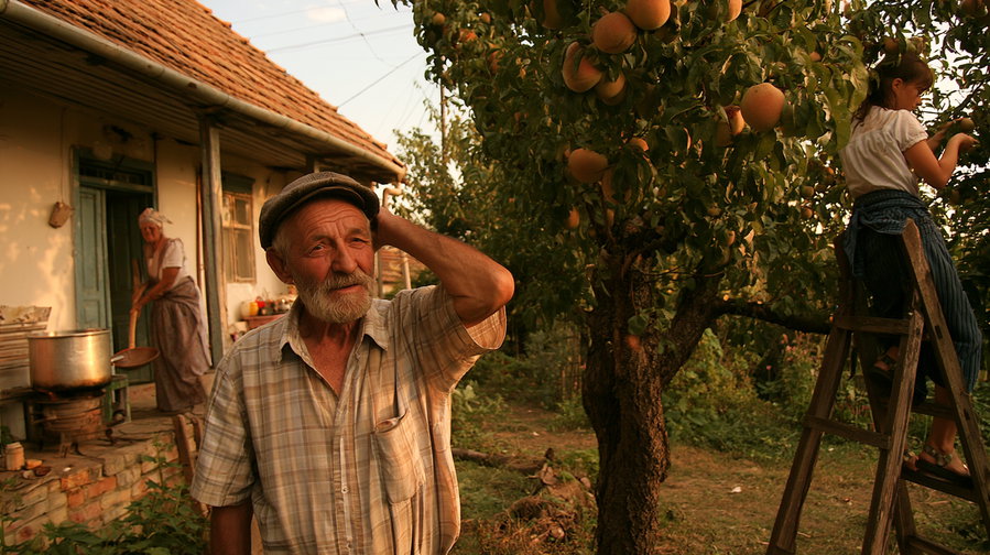 An elderly man with a beard wearing a cap and plaid shirt standing in a garden, a child on a ladder picking apples from a tree, and a woman working near a rural house in the background