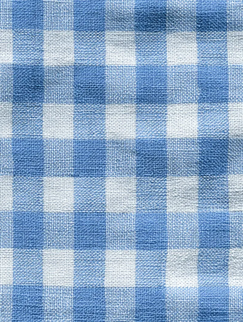 Close-up view of blue and white checkered textured fabric pattern