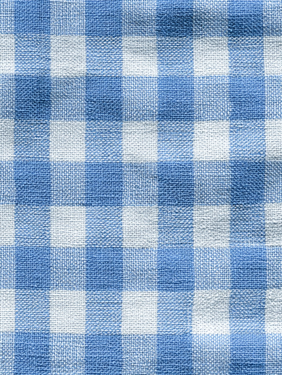 A detailed close-up image of fabric with a woven texture, featuring a blue and white checkered pattern