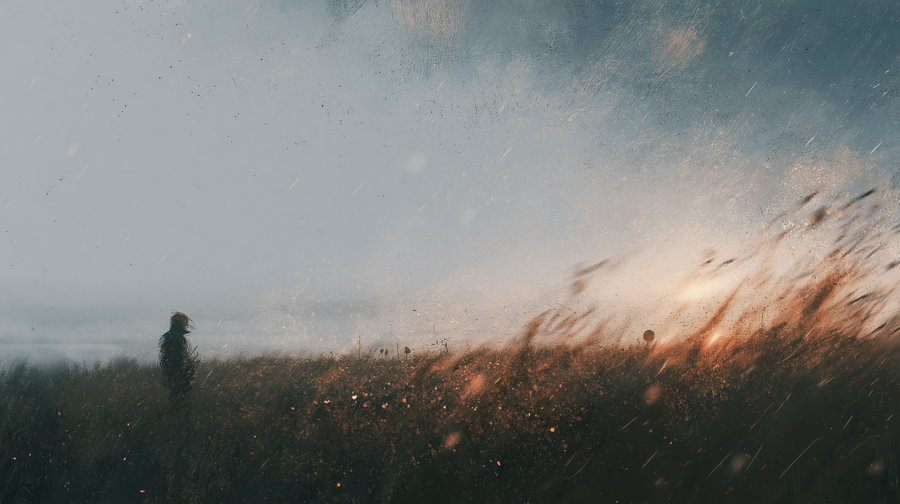 Silhouette of a person standing in tall grass under a cloudy sky with warm sunlight filtering through, creating a moody, textured atmosphere