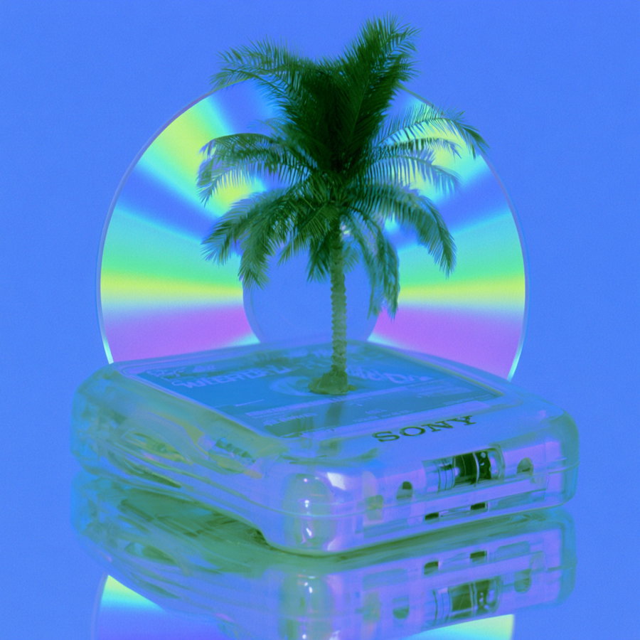 A transparent cassette tape with a small palm tree growing from its center, positioned in front of a reflective compact disc on a blue background