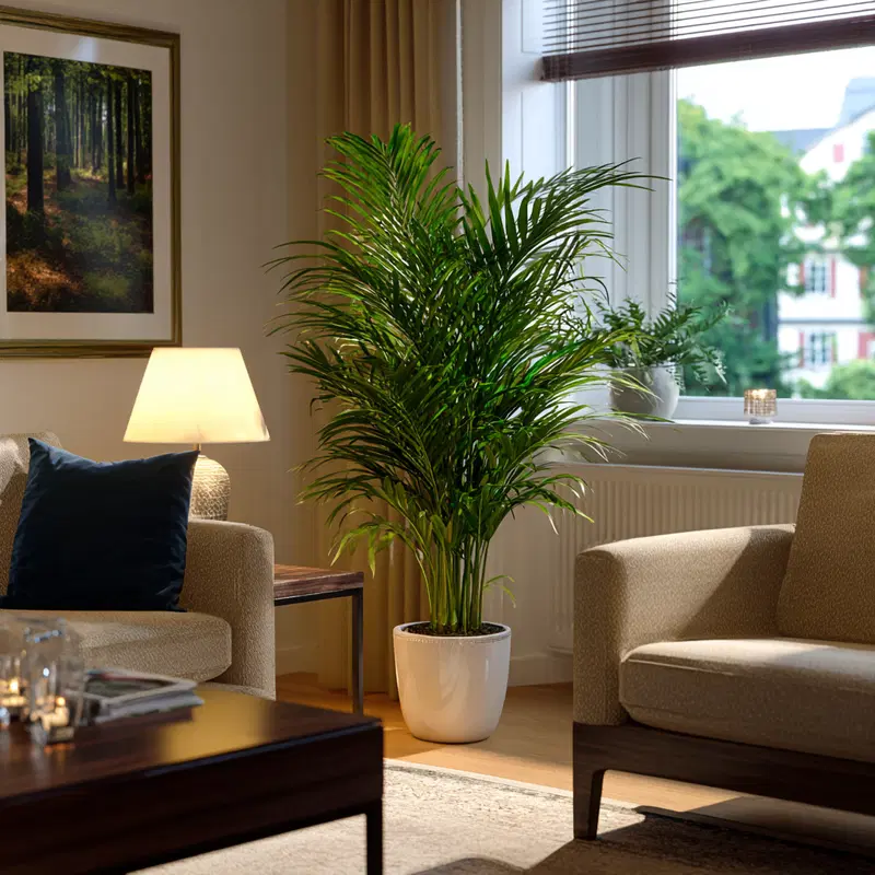 Areca Palm Printable Wall Art for Modern Living Room Decor