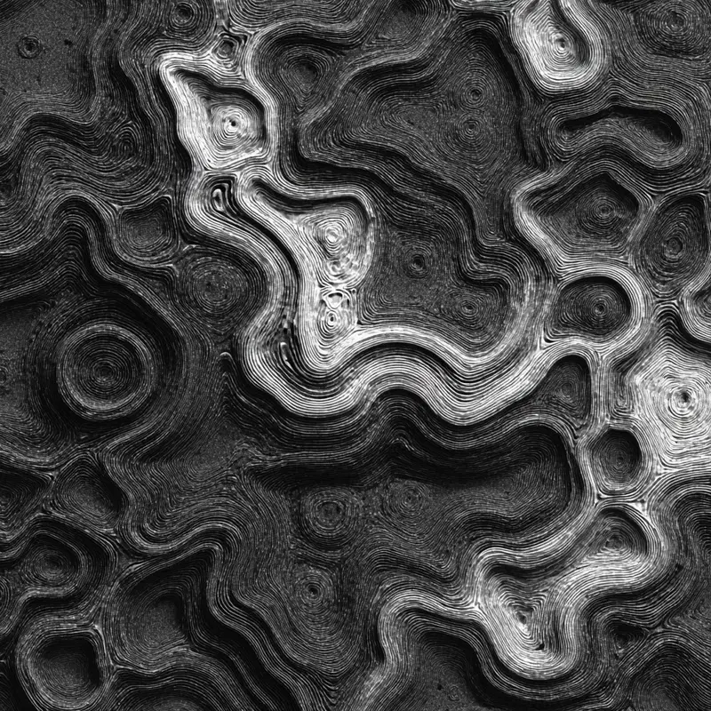 Intricate black and white abstract pattern with concentric wavy lines