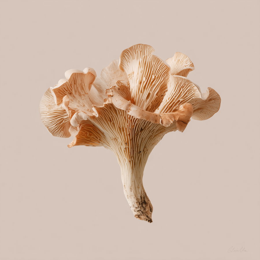 A close-up image showing the intricate underside and gills of a beige mushroom against a soft tan background.