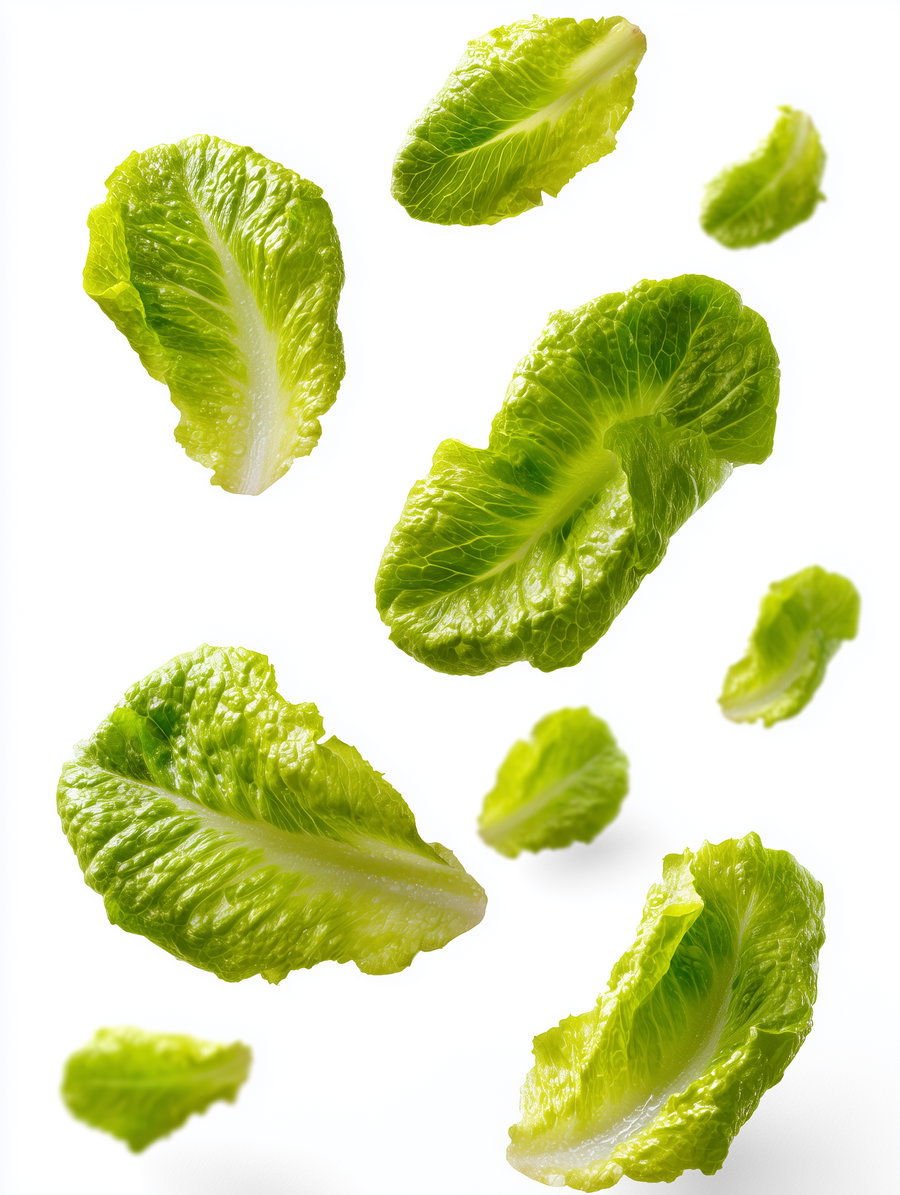 Several crisp green romaine lettuce leaves scattered and suspended against a white background.