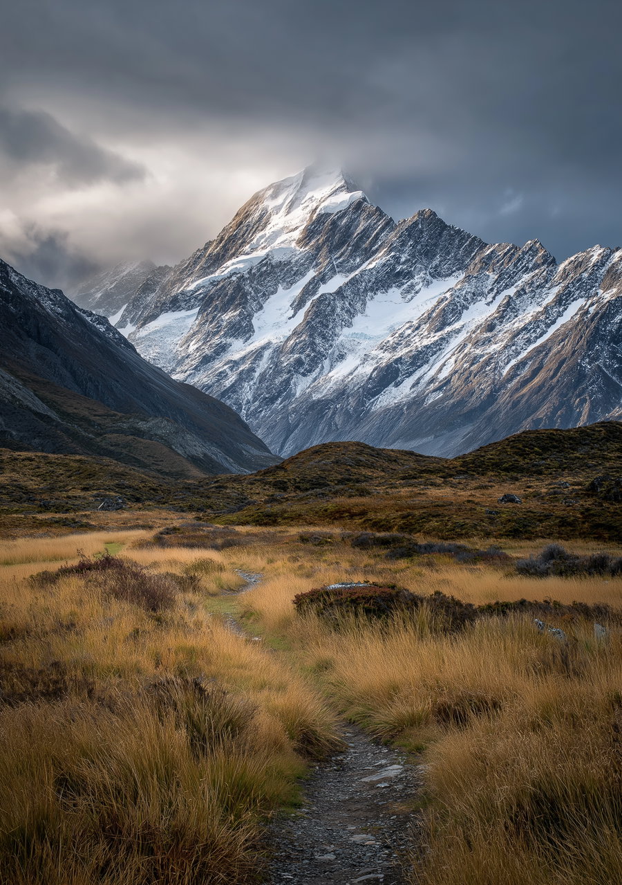 A winding trail leading through tall grass and shrubbery towards large snow-covered mountain peaks beneath a cloudy, overcast sky.